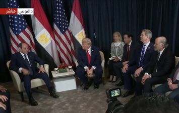 السيسي وترامب