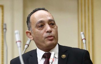 النائب الدكتور فريدي البياضي