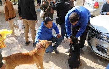 جانب من الحملة