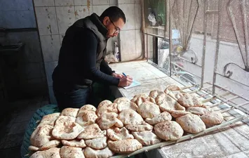 جانب من الحملة