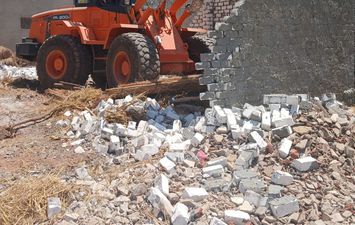 جانب من الحملة 