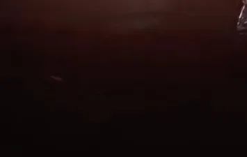 حريق المنوفية 