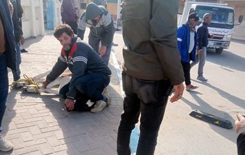 حملة مكبرة علي الماشية بمطروح 