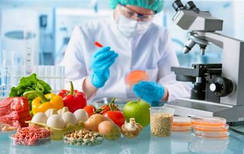 سلامة الغذاء