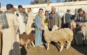 سوق الاغنام