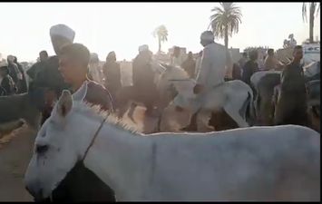 سوق حمير 
