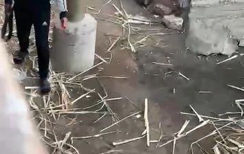 صور الاشخاص 