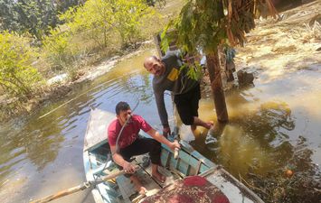 مركب ارشيفيه 