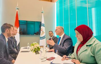 وزير البترول 