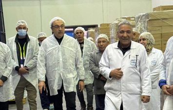 وزير قطاع الأعمال 