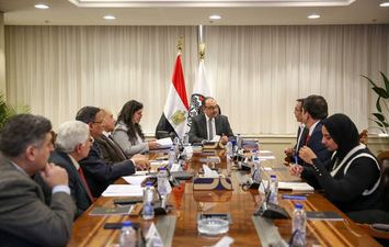 وزير قطاع الاعمال 