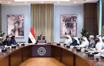 مجلس الوزراء 