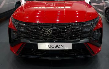 جانب من المعرض 