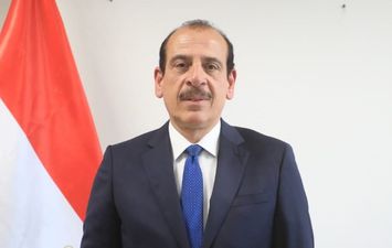 الدكتور عمرو قنديل نائب وزير الصحة