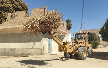 حصاد محصول القصب 