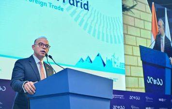 الدكتور محمد فريد وزير الاستثمار 