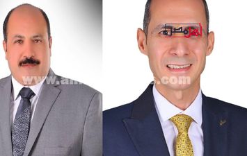 انتخابات المحامين بالبحيرة