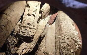 جانب من الاكتشاف