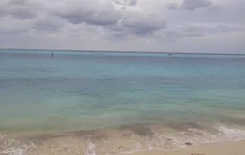 أرشيفية 