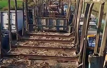 شاحنات قصب السكر 