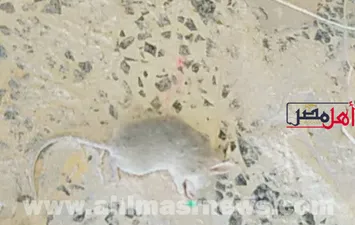 ضبط دقيق معاد تدويره 