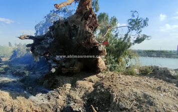 كيلاكيت ثاني مره حريق أشجار اثريه بالإسماعيلية 