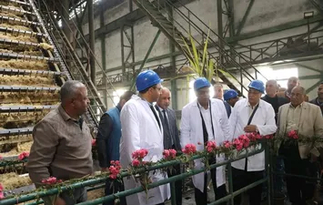 مصنع سكر دشنا 