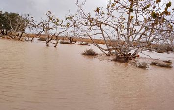 محافظة مطروح 