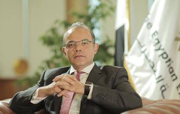 محمد فريد صالح وزير الاستثمار