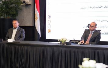 وزير الاستثمار 