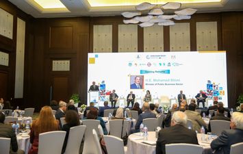 وزير قطاع الاعمال 