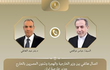 وزيرا الخارجية المصري والايراني