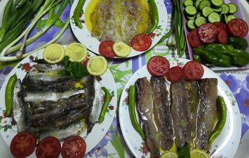 الفسيخ والرنجة