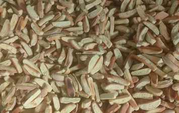 صناعه الفايس والبسكويت 