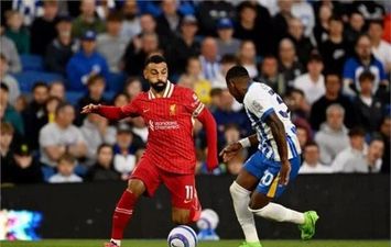 ليفربول وبرايتون 