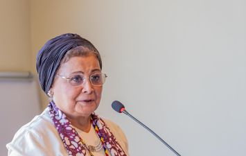 الدكتورة عبلة الألفي، نائب وزير الصحة والسكان