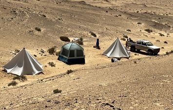 جانب من الفعاليات