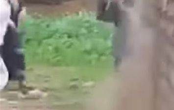 استجابة لـ اهل مصر