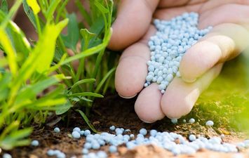 شركة إيفرجرو للأسمدة المتخصصة