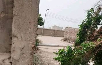 اتقلعت من جذورها