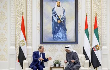 الرئيس السيسي وبن زايد