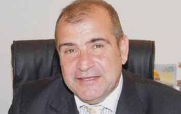 السفير أيمن مشرفة