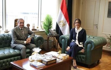 العاصمة الإدارية 