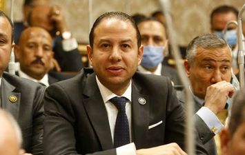 النائب حسن طارق عمار