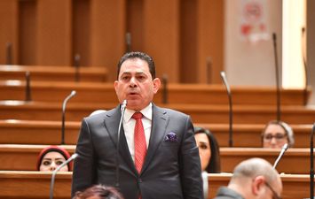 النائب فرج فتحي