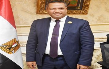 النائب محمد حمزة