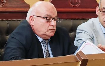 تأجيل محاكمة المتهمة بقتل "عروس بورسعيد" إلى اليوم الثاني بدور انعقاد أبريل