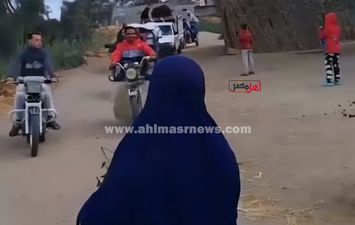 جاموسة البحيرة