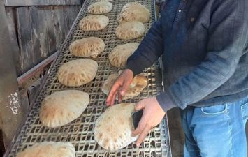 جانب من الحملات 