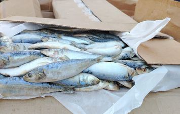 جانب من الحملة